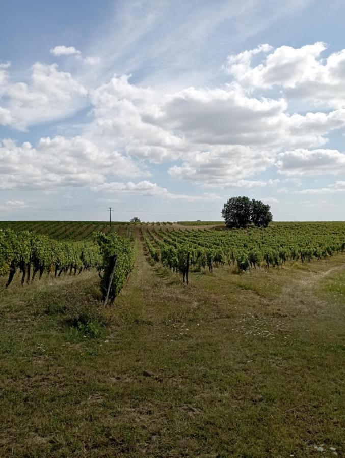 Maisonnette Neuve Monbazillac Villa Kültér fotó
